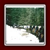 comp_Reiten4