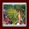FSG2010_001 (103)