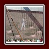 FSG2010_001 (137)